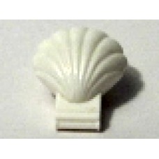 Part 30218 White Clam Type 1 Continuous Scalloped with Trans-Yellow Inner Lip 